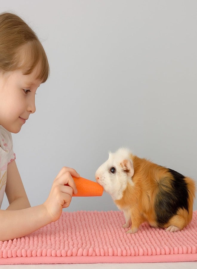 Tinsky 6 Pcs Guinea Pig Fleece Cage Liners, 16 x 24 Inch Guinea Pig Bedding Mats Reusable Guinea Pig Pee Training Pads Rabbit Mat Washable for Small Animal Sleeping - Image 5